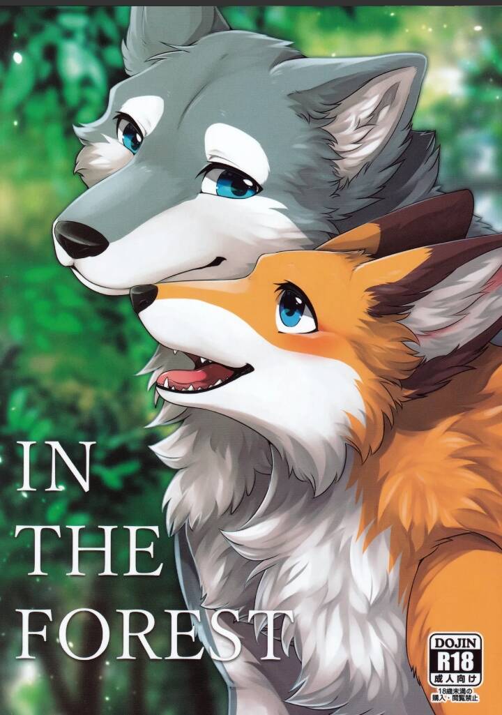 (Kemoket 12) [D-Point! (Diga Tsukune)] IN THE FOREST封面